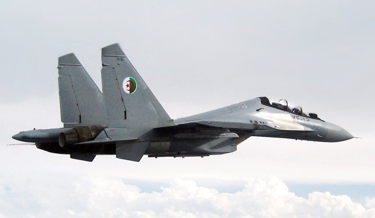 Algeria Deploys Su-30 Jets to Niger After Coup Attempt