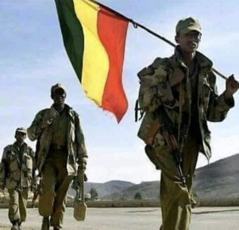 Seven Ethiopian Rebel Groups Unite to Oust Abiy Government