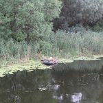 Перемирие в Алешках: Минобороны России объявило «режим тишины» на херсонском направлении с 27 октября