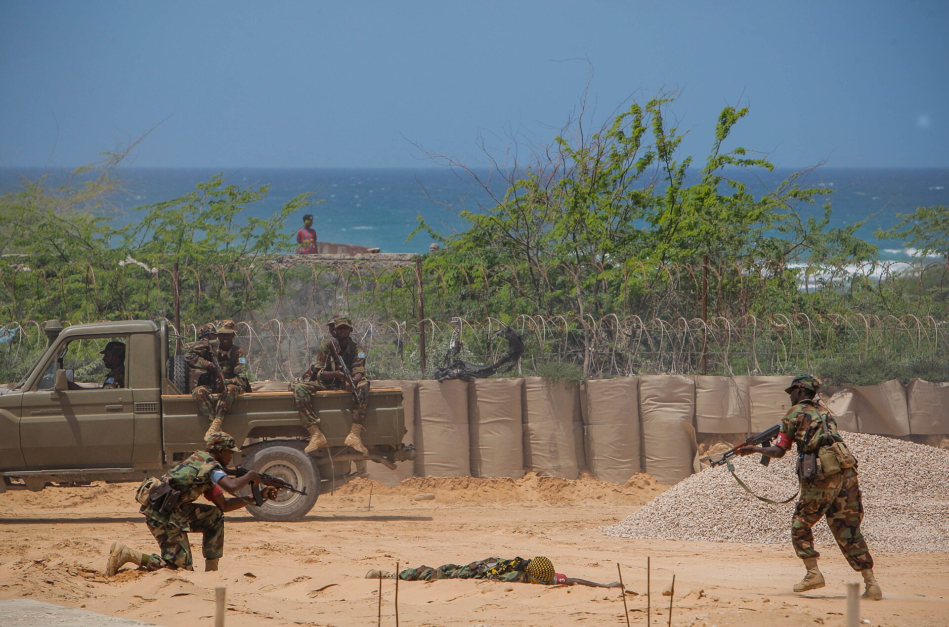 Russia and Somalia Discuss Military Cooperation at Russia–Africa Summit